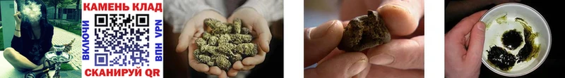 где купить   Пестово  ГАШ Cannabis 