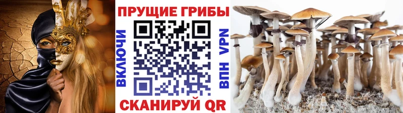 Галлюциногенные грибы ЛСД  Пестово 